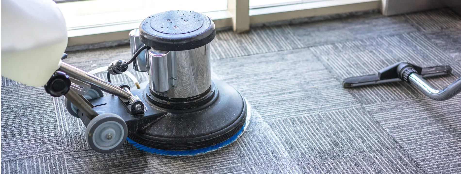 Professional Cleaning Solutions