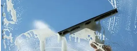 Professional Cleaning Solutions