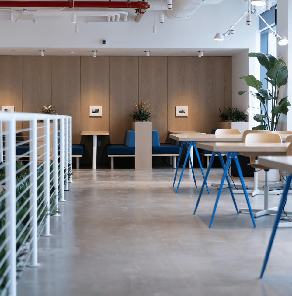 Professional Cleaning Solutions